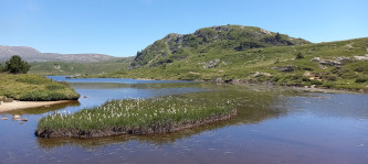Le lac Fourchu
